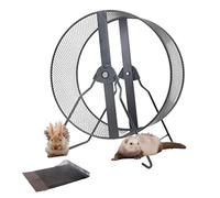 Rueda de ejercicio silenciosa para Hamster con Gerbille Chinchilla ardilla Lapin Rats Chinchillas Gerbilles Souris, enorme talla, 32 cm de diámetro, animales medianos y grandes