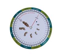 Rueda de seguimiento de medición de embarazo de fácil de usar que ayuda a monitorear progreso de la salud para parteras Trabajadores de la salud Calculadora de embarazo de