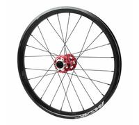 Rueda Delantera De Bicicleta Plegable 20pulgadas Freno De Disco 712g Ruedas De Eje Pasante De 100×12/15mm Llantas De Doble Pared De 24 Orificios, 2 Rodamientos Sellados(Black Red,F 15 * 100)