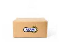 AFAM Piñón de acero estándar 73305 - 520