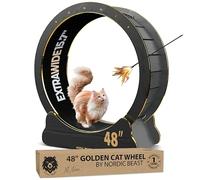 Rueda dorada para gatos de 48 pulgadas, tamaño que no afecta negativamente la columna vertebral del gato, rueda de ejercicio para gatos en interiores, cinta de correr para gatos, ruedas de gato para