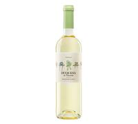 Rueda Duquesa de Valladolid 2024