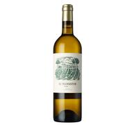 Rueda El Transistor 2024