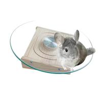 Rueda para correr Chinchilla - Corredor silencioso para animales pequeños, accesorio para hábitat giratorio de jaula | Equipo de ejercicio para mascotas para mejorar la actividad, salud, Fitness, redu