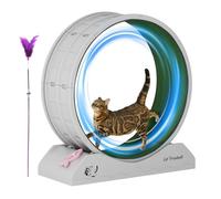 Rueda para correr para gatos, caminadora para pérdida de peso para gatitos, rueda de ejercicio para gatos grandes con teaser, cinta de correr para gatitos para interiores