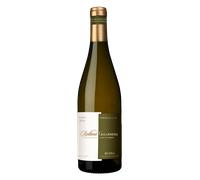 Rueda Rolland Galarreta Rueda Barrica 2019