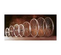 Rueda trasera de bicicleta de montaña con 350 radios de aluminio Gurpil TU