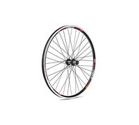 Rueda trasera, radios y casete Gurpil ZAC 26"