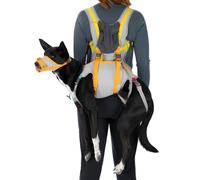 Ruffwear Kit De Evacuación BackTrak Para Perros