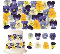 RUGBOL 96 Flores prensadas naturalmente secas, Pensamientos Secos para decoración de Tartas Hechas a Mano, Viola para Manualidades DIY