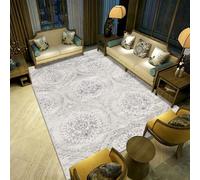 RUGMRZ Habitacións Alfombraes Alfombras De Área Lavables con Decoración Antideslizante Moderna Simple Y Duradera para Cocina Blanco Alfombra Niño Cuadros Habitacion 200X300CM