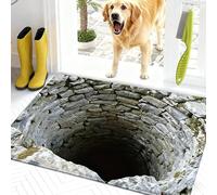 Rugs That Look Like a Hole, Dog Gets Scared of 3D Hole Carpet, 3D Trap Optical Visual Illusion Rugs, Optical Illusion Rug, for Door Entrance, Bathroom, Stairs, Living Room Decor (A,31.5*47.2in)