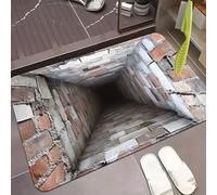 Rugs That Look Like a Hole, Dog Gets Scared of 3D Hole Carpet, 3D Trap Optical Visual Illusion Rugs, Optical Illusion Rug, for Door Entrance, Bathroom, Stairs, Living Room Decor (H,23.6*35.4in)