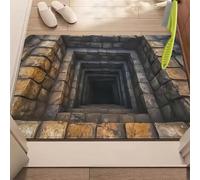 Rugs That Look Like a Hole, Dog Gets Scared of 3D Hole Carpet, 3D Trap Optical Visual Illusion Rugs, Optical Illusion Rug, for Door Entrance, Bathroom, Stairs, Living Room Decor (F,23.6*35.4in)