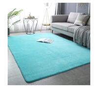 RUHTEUO Alfombra al Lado de la Cama Alfombras de Terciopelo Coral for decoración Moderna Sala Estar, Alfombra Gruesa Alfombra Dormitorio Matrimonio(Light Blue,60x160cm 23.6x63in)