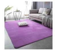 RUHTEUO Alfombra al Lado de la Cama Alfombras de Terciopelo Coral for decoración Moderna Sala Estar, Alfombra Gruesa Alfombra Dormitorio Matrimonio(Purple,40x60cm 15.7x23.6in)