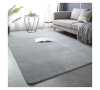 RUHTEUO Alfombra al Lado de la Cama Alfombras de Terciopelo Coral for decoración Moderna Sala Estar, Alfombra Gruesa Alfombra Dormitorio Matrimonio(Gray,60x120cm 23.6x47in)