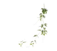 RUHTEUO Flores Artificiales Colgantes Decoración de Pared del hogar cifrado Planta Verde simulación Hoja Sauce glicina Tira Colgante eucalipto Enredaderas Artificiales Decorativas(TT-Lian ye)