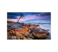 RUHTEUO Fondo Acuario Póster Adhesivo for Fondo de Acuario, decoración pecera, Papel Tapiz Autoadhesivo(30x40cm)