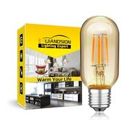 Ruiandsion Bombilla de bajo voltaje DC 5V, lámpara LED de filamento de base roscada E27 blanco cálido 2200K, bombilla de emergencia para tienda, caravana y solar