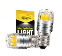 Ruiandsion - Bombillas LED de repuesto para linternas y linternas de cabeza, de 2 W COB 3 V, 6 V, 12 V, E10, Blanca/2700K Amarilla/4300 Blanca cálida, 2 unidades, Blanco cálido., 3 V
