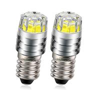 Ruiandsion - Bombillas LED de repuesto para linternas y linternas de cabeza, de 2 W COB 3 V, 6 V, 12 V, E10, Blanca/2700K Amarilla/4300 Blanca cálida, 2 unidades, Blanco, 3 V