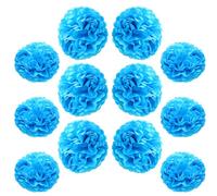Ruidee 12 pompones de papel de seda de 10 y 12 pulgadas para colgar, flores de papel, flores de papel, pompones para decoración de fiestas y bodas (ZH/azul cielo)