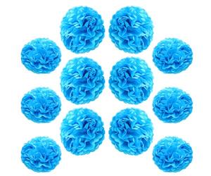 Ruidee 12 pompones de papel de seda de 10 y 12 pulgadas para colgar, flores de papel, flores de papel, pompones para decoración de fiestas y bodas (ZH/azul cielo)