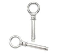 Ruidee 2 tornillos anulares de acero inoxidable con ancla, M10 x 90 mm, tornillo de expansión con anillo, tornillo de expansión para estructuras de hormigón y mampostería (PZ-LS/M10 x 90 mm)