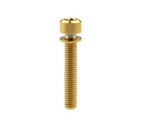Ruifu M6 Grado 5 - Tornillo de Cabeza Allen de Titanio con arandela (16 18, 20, 25 y 35 mm), Color Dorado, tamaño M6x35mm