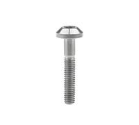 Ruifu M8x15 20 25 30 35 40mm Tornillos de disco de freno Tornillos Allen para motocicleta (M8x40mm, titanio)