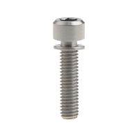 Ruifu Tornillo de cabeza Allen de titanio M6 grado 5 con arandela 16 18 20 25 35 mm para freno de disco de bicicleta de montaña (Titanio, M6 x 25 mm)