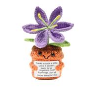 Ruispeed Lirio morado tejido a mano como regalo de agradecimiento con tarjeta, ideal para profesores, cuidadores, madres y colegas, decoración de mesa para mujeres para cumpleaños o jubilación