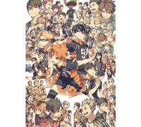 RUIYANMQ 1000 Piezas Puzzle Anime Japonés Haikyuu Posters para Familias Alivio del Estrés Juguetes Educativos Qz700Yk