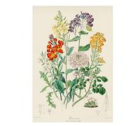 RUIYANMQ Rompecabezas 1000 Piezas Botánico Plantas Estilo Vintage Flores Verduras Frutas Gráfico Vintage Póster Madera para Adultos Niños Juegos Juguetes Educativos Vq841Zw