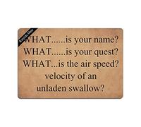 Ruiyida Monty Python and The Holy Grail Entrance - Felpudo decorativo para interiores y exteriores, no tejido, 60 x 40 cm, lavable a máquina