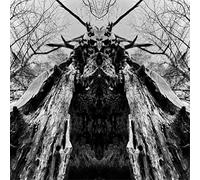 Rulaman - To Serve The Dune (Trans Green Vinyl) [Vinilo]