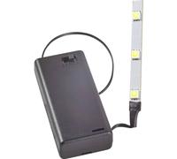 Rulke Rulke069911 - Tira de luz LED con caja de batería, multicolor