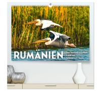 Rumänien - Das beeindruckende Land am Schwarzen Meer. (hochwertiger Premium Wandkalender 2026 DIN A2 quer), Kunstdruck in Hochglanz: Bären, Dracula unberührte Natur.