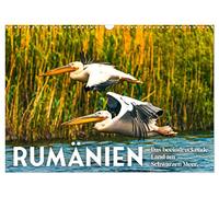 Rumänien - Das beeindruckende Land am Schwarzen Meer. (Wandkalender 2026 DIN A3 quer), CALVENDO Monatskalender: Bären, Dracula unberührte Natur.