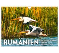 Rumänien - Das beeindruckende Land am Schwarzen Meer. (Wandkalender 2026 DIN A4 quer), CALVENDO Monatskalender: Bären, Dracula unberührte Natur.