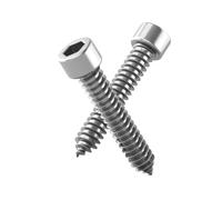 Rummyluck Tornillos Autorroscantes de Cabeza Allen de Cabeza Cilíndrica Tornillos para Madera M2.5x10mm (100 pcs)