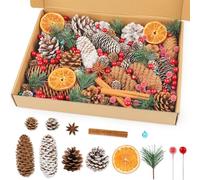 RumonZS 287 Piezas Natural Pine Cones Berry Pine Branch for DIY Advent Wreath Making Kit Crafts Christmas Table Centerpiece Xmas Tree Decorations Winter Holiday Ornaments Home Vase Filler Decorations