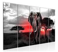 Runa Art Cuadro África Elefante Impresión de arte Cuadro in Lienzo no Tejido Sala Dormitorio 001256b