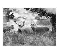 Runa Art Papel tapiz fotográfico 396 x 280 cm ciervos naturales | Lana Decoración De Pared Sala Cuarto | Fabricación alemana | Negro y blanco 9272012b