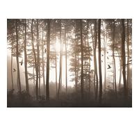 Runa Art Papel tapiz fotográfico Las aves del bosque de niebla Moderna Lana Sala Cuarto Salón - Made in Germany - marrón 9326010b
