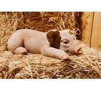 RUNADI Hi- Line Gift 87686-A - Estatua de Cerdo durmiendo