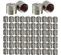 RUNCCI-YUN 60Pcs Tapas para Válvulas de Aire Guardapolvo Tapones de Llantas Neumáticos para Coche Bici Moto (Plata)
