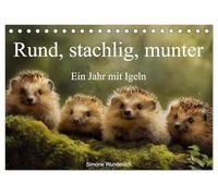 Rund, stachlig, munter - Ein Jahr mit Igeln (Tischkalender 2026 DIN A5 quer), CALVENDO Monatskalender: Der ultimative Igel - Kalender!