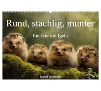 Rund, stachlig, munter - Ein Jahr mit Igeln (Wandkalender 2026 DIN A2 quer), CALVENDO Monatskalender: Der ultimative Igel - Kalender!